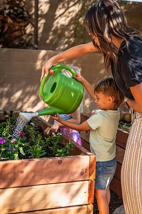 Watering plants
